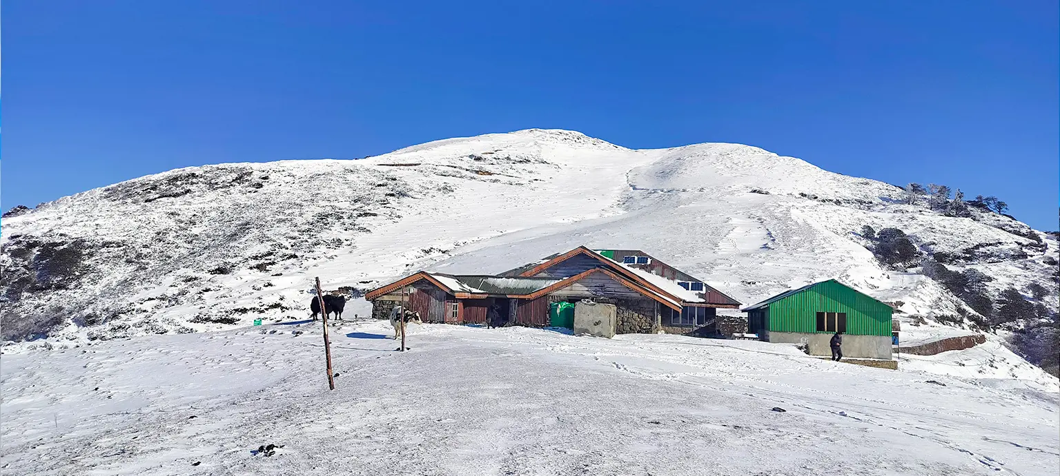 Sandakphu Trek